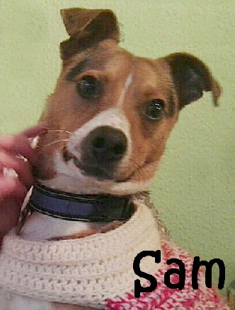Sam_IMG-20180206-WA0000_mN