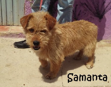 Samanta_20150412_135255_mN