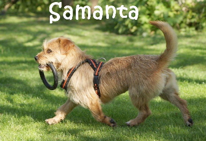 Samanta_DSC08197_mN