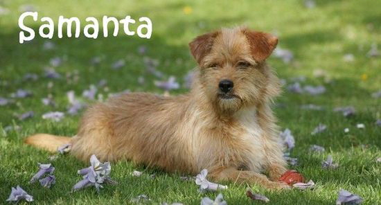 Samanta_DSC08325_mN