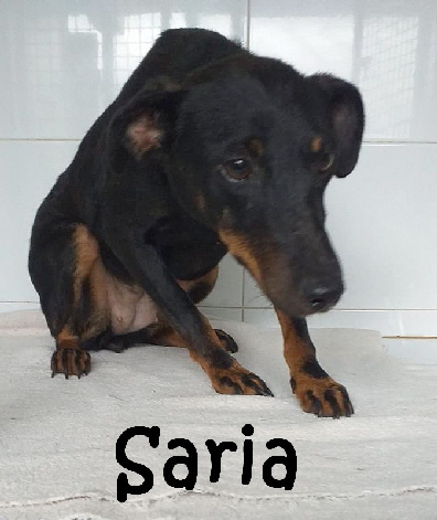 Saria_IMG-20190908-WA0007_mN