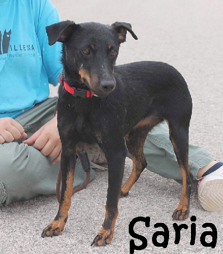 Saria_IMG_8221_mN