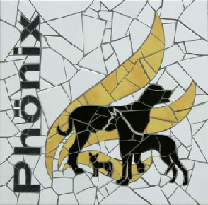 Scherwelmosaik_Phnix_40