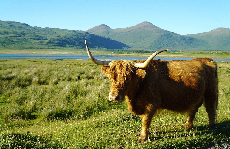 Schottland_2018_DSC03257