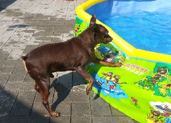 Schwimmbad_20150812_110425