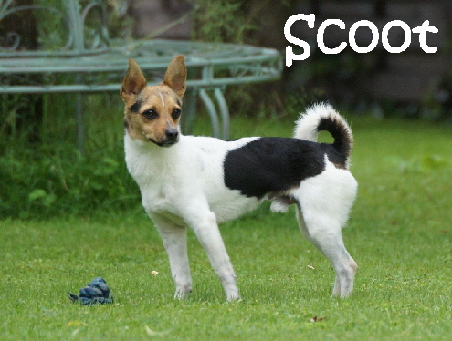 Scoot_DSC06801_mN