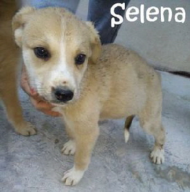 Selena_5c98c154-23f8-4d71-9eec-019e42aac7e5_mN