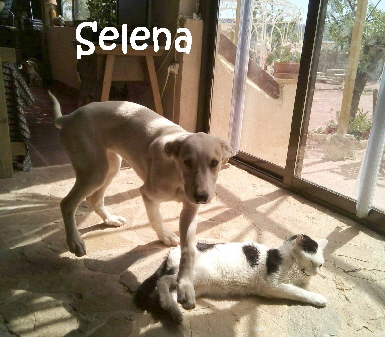 Selena_IMG-20160328-WA0021_mN