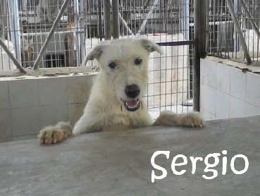 Sergio_Foto-0072_mitName