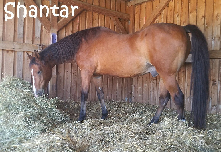 Shantar_20190823_132031
