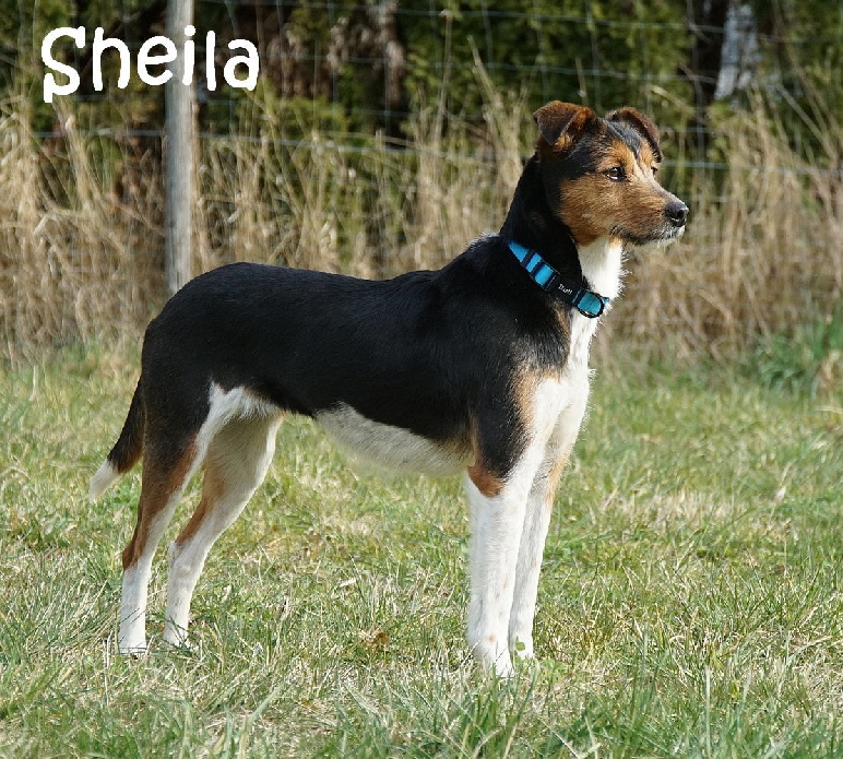 Sheila_DSC07086_mN