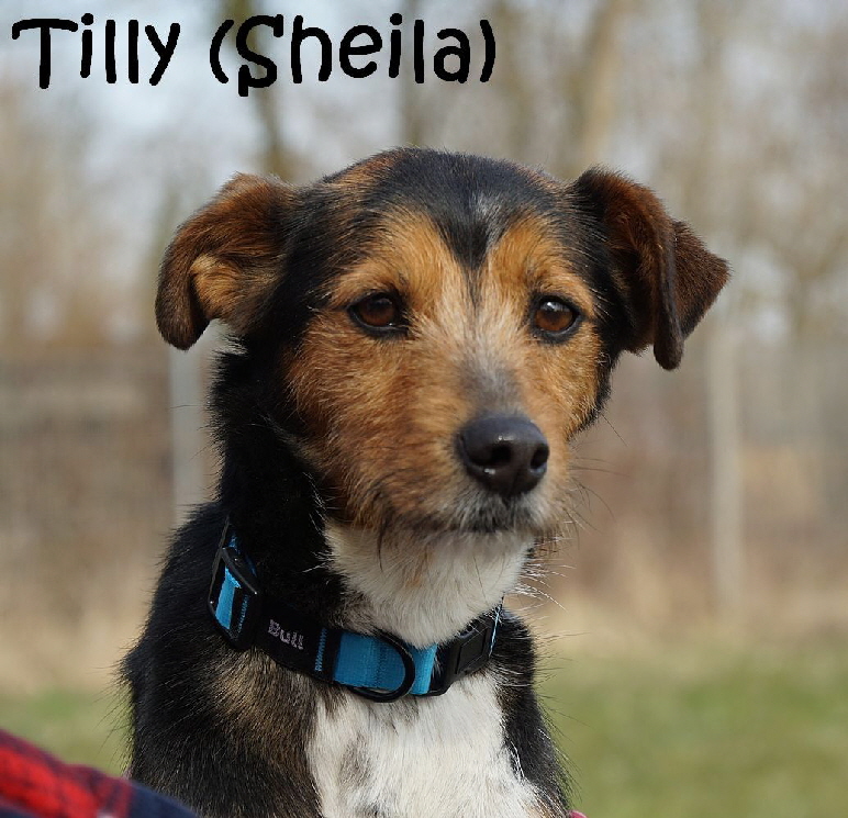Sheila_DSC07114_mN