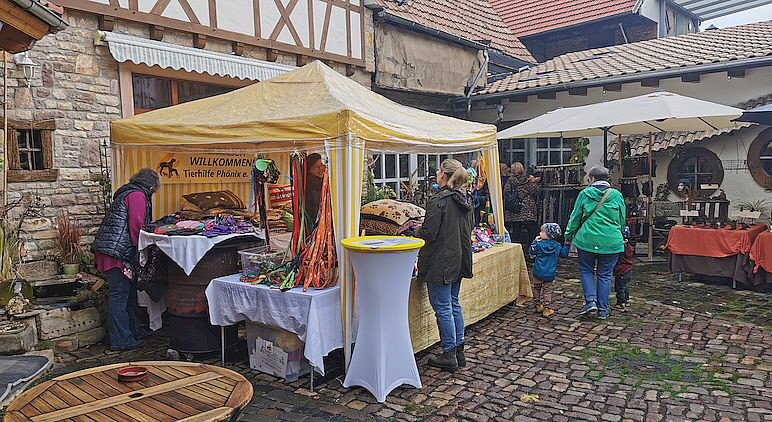 Siefersheim_IMG_20221016_115206