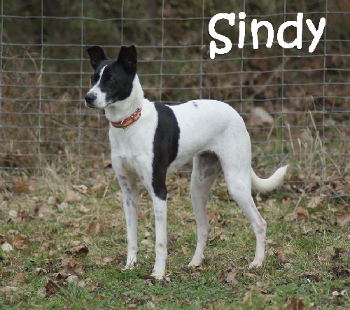 Sindy_DSC01683_mN