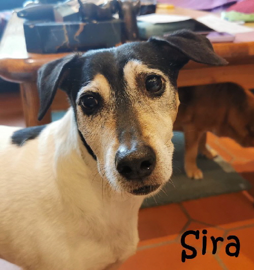 Sira_20221021_131452 Sira_20221021_131452