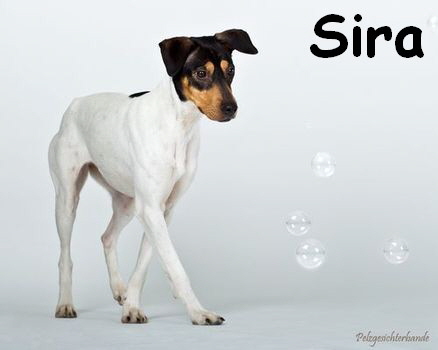 Sira_Y4D7199-2 Kopie_mitName