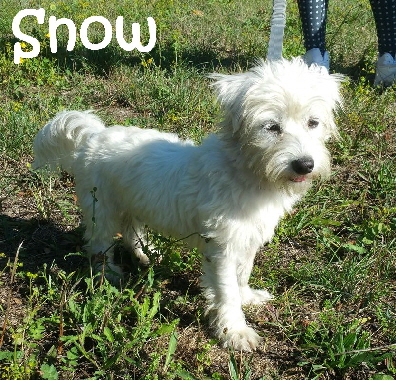 Snow_20180908_102526_mN