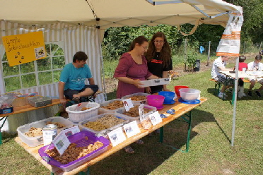 Sommerfest_2013_430