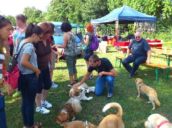 Sommerfest_2013_7