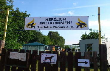 Sommerfest_2013_9