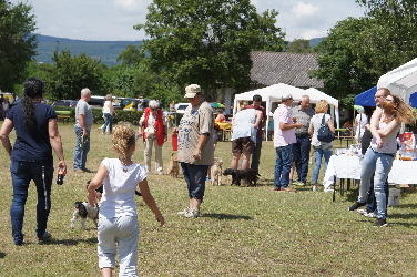 Sommerfest_DSC03631