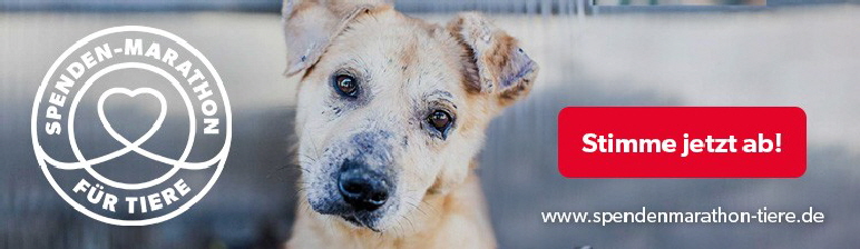 Spenden-Marathon_Abstimmung_2019_Hund_750x218