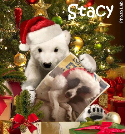 Stacy_IMG_6648