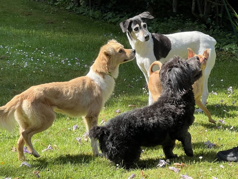 Susi+Peluso_IMG_3248 Susi+Peluso_IMG_3248