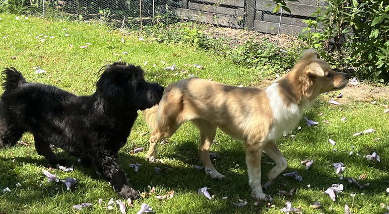 Susi+Peluso_IMG_3449 Susi+Peluso_IMG_3449