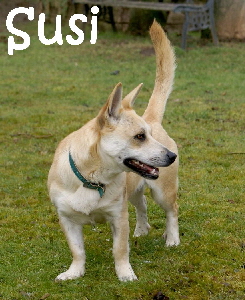 Susi_DSC00458_mN