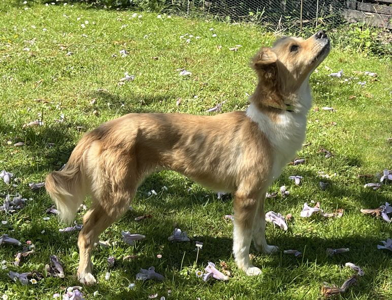 Susi_IMG_3472 Susi_IMG_3472