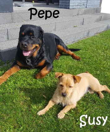 Susy_IMG-20170929-WA0000_mN