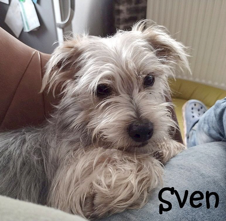 Sven_IMG-20230115-WA0004_mN