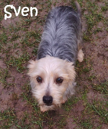 Sven_IMG-20230126-WA0001_mN