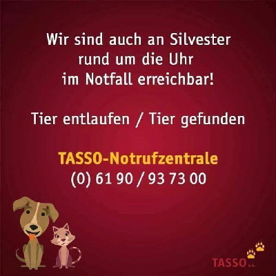 TASSO_472200487_9263372670359854_8612366686530318775_n