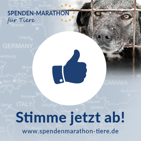 TSS_FB-Post_Spenden-Marathon_fr_Tiere_Abstimmung_Vereine_2018_Hund