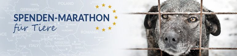 TSS_Spenden-Marathon_2018