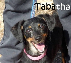 Tabatha_9d62b882bc8fd62cg_mN