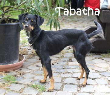 Tabatha_DSC09484_mN