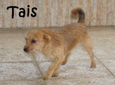 Tais_DSC07053_mitName