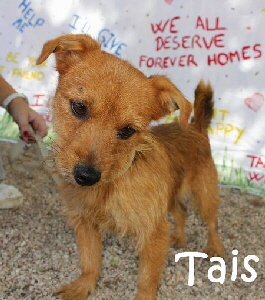 Tais_IMG_mitName