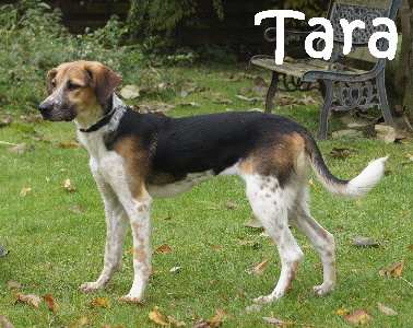 Tara_DSC05594_mN