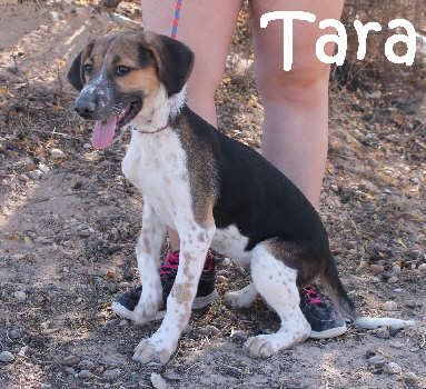 Tara_IMG_4727_mN