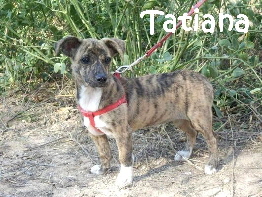 Tatiana_a241b8db5f91a5d5g_mN