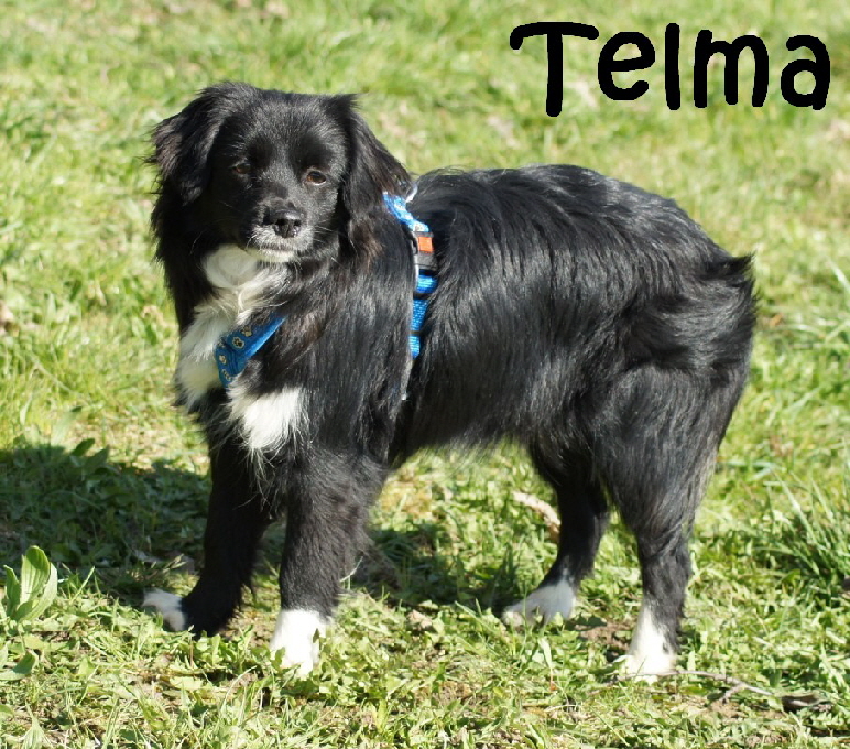 Telma_DSC02321_mN