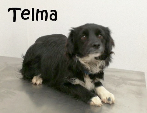Telma_IMG-20180214-WA0068_mN