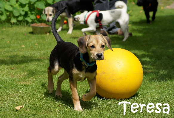 Teresa_DSC05824_mitName