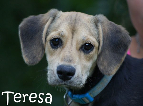 Teresa_DSC05926_mitName