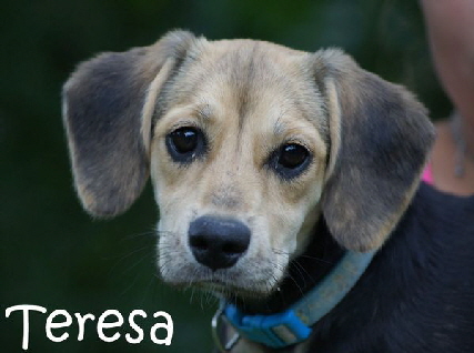 Teresa_DSC05926_mitName