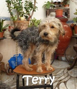 Terry_P1060080_mN